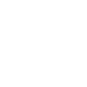 The House Plant Co.