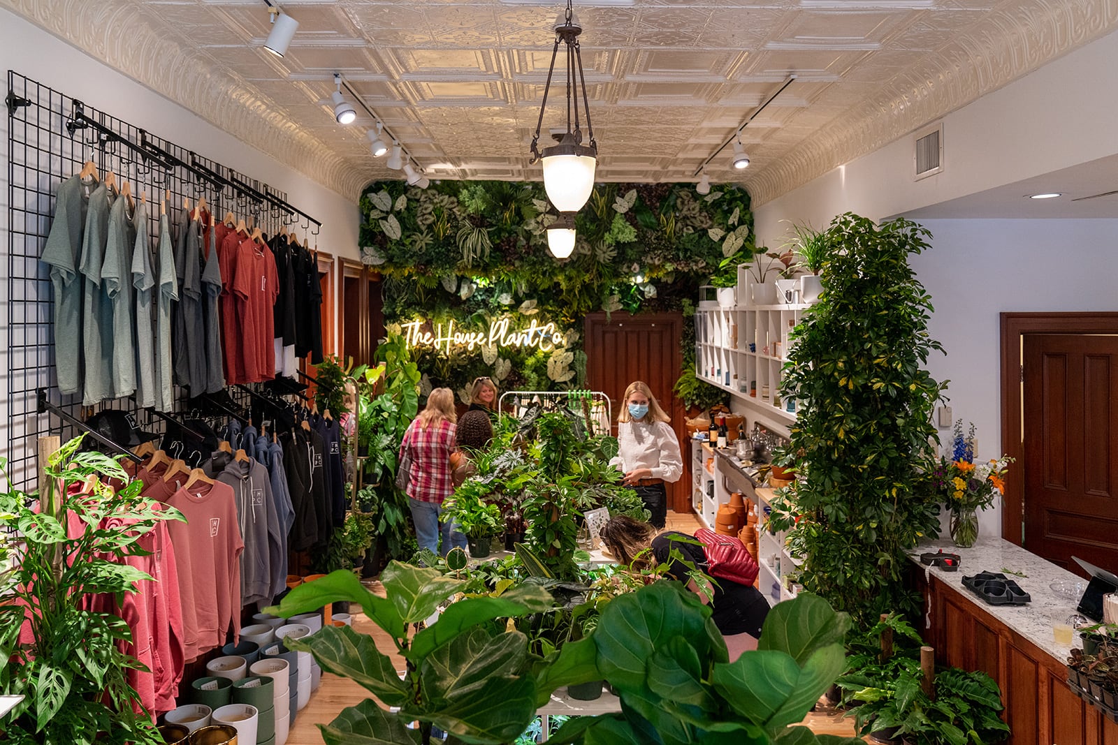The House Plant Co.